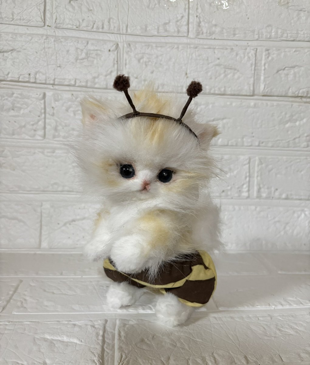 Minou(ミヌー) tweet media