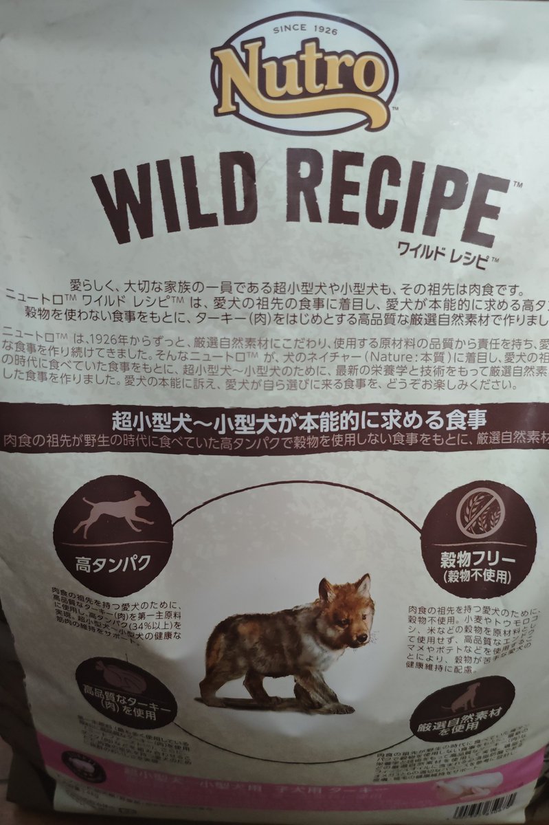 ドッグフード変えたら、急にカイカイ無くなったかも。🍼も与えてみた