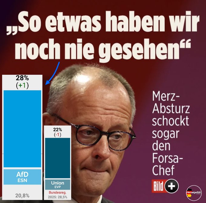 Daniel Vollmer🇩🇪💙 tweet media