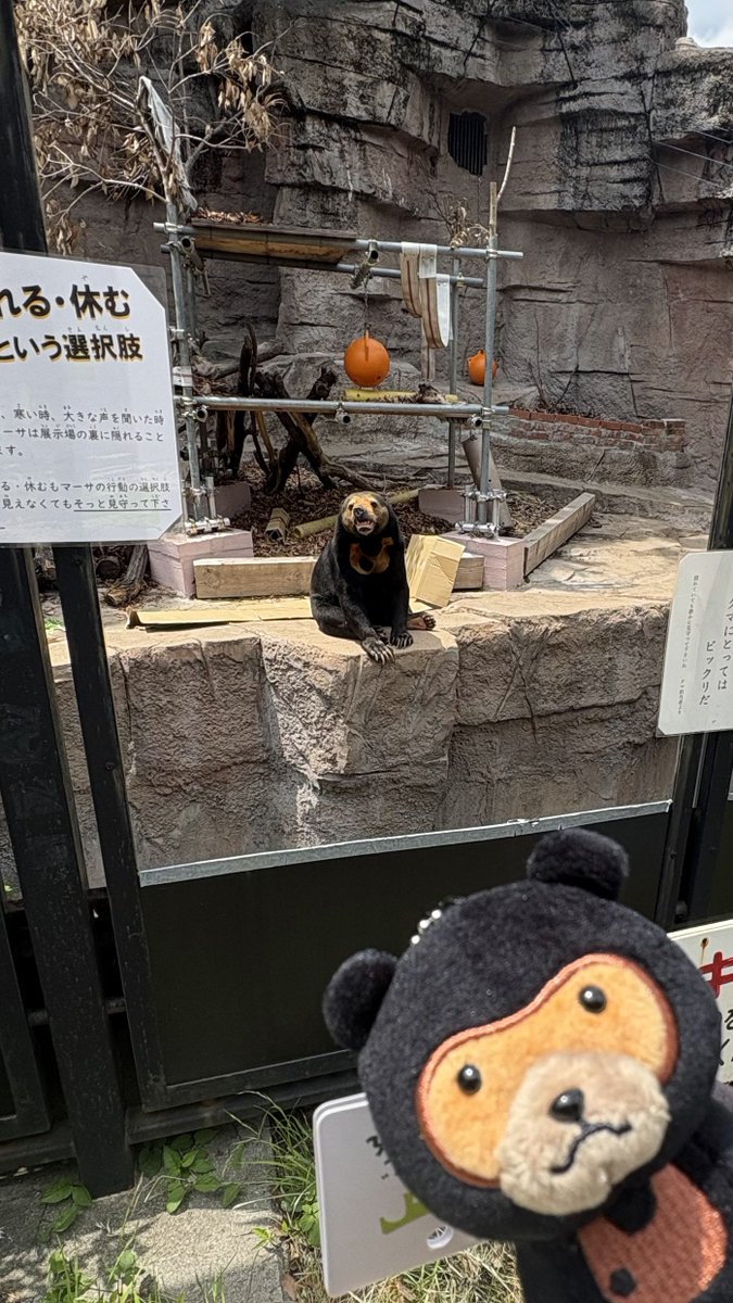 いち（ichi） tweet media