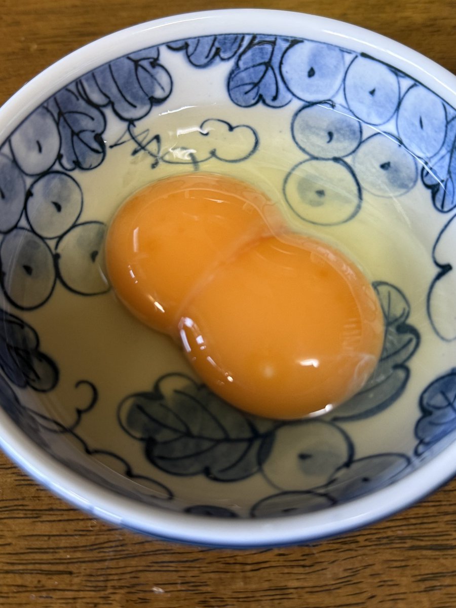 たまごごはん 卵かけご飯を食べようと割ったら双子だった✨