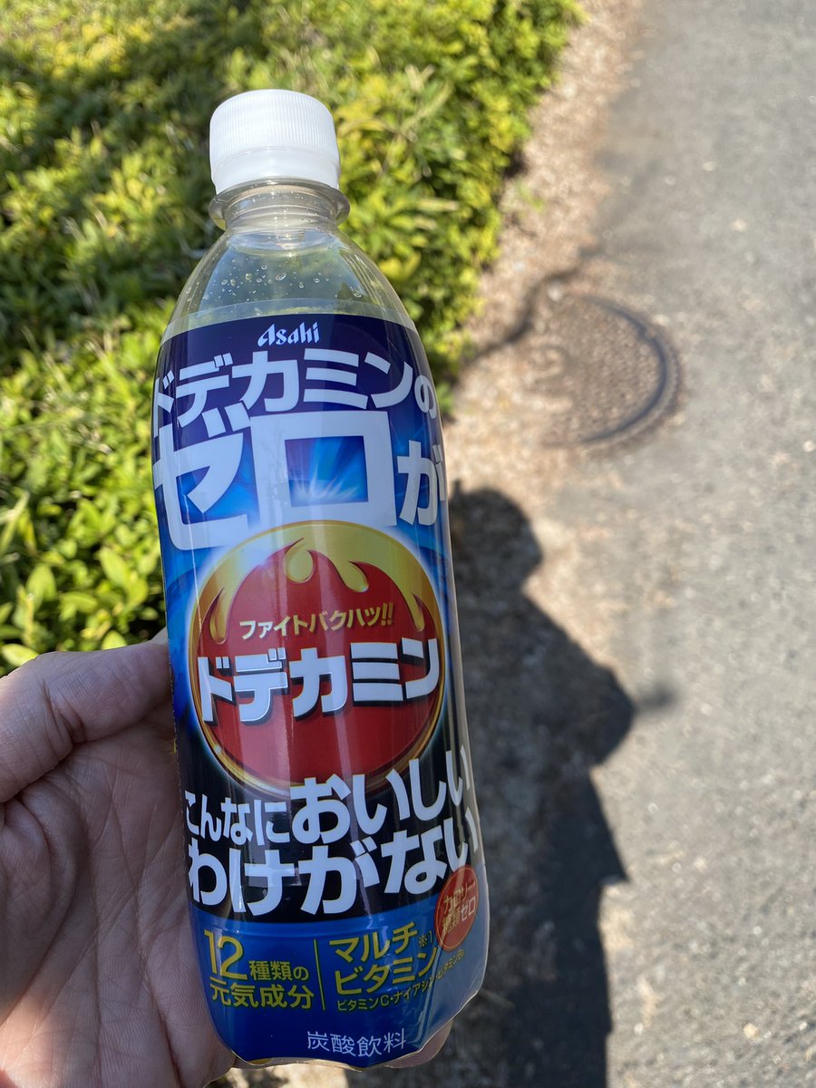 aniconshop's tweet photo. 涼しい間は食後に散歩を🚶‍♀️します。これがもうちょっと暑くなったらあきまへんので、ジム通いを再開したいと思います。 https://t.co/B3Ihm5iNpE