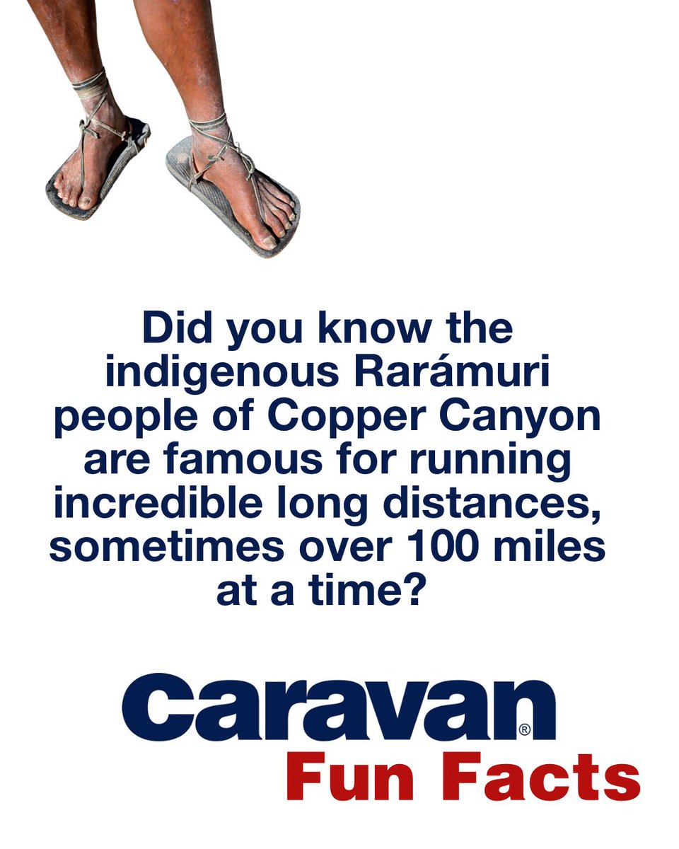 Caravan Tours tweet media