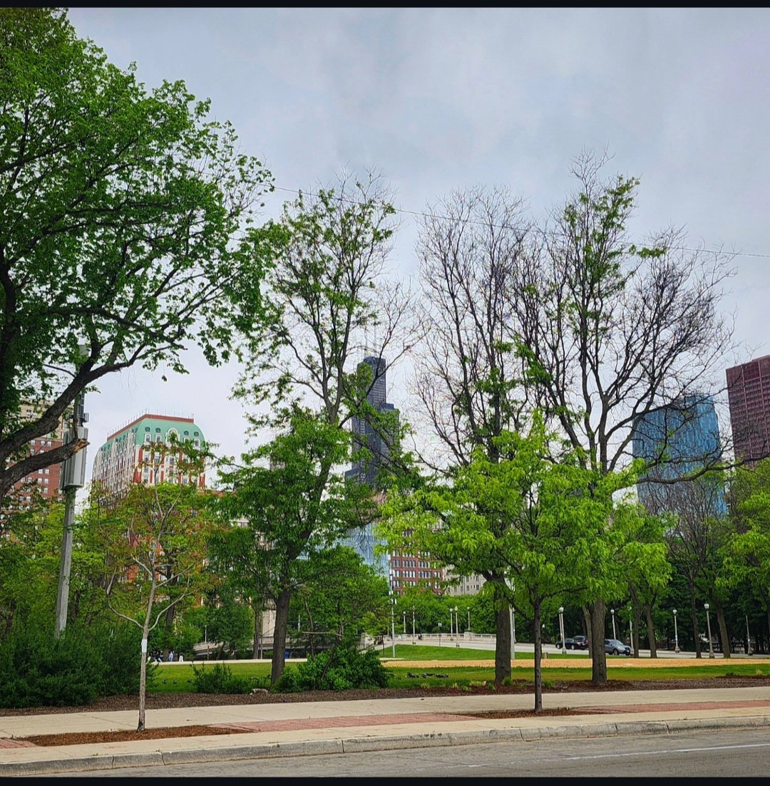 cwharris773's tweet photo. Random pics from today.
#Chicago
#CWHdrivebyshots https://t.co/DTKYHrp8zm