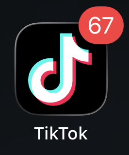 minx 🐦‍🔥 tweet media