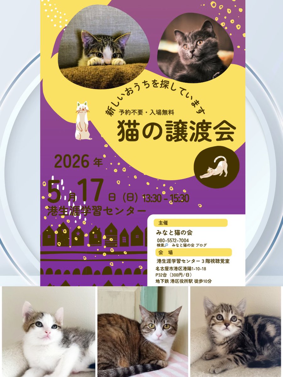 みなと猫の会 tweet media