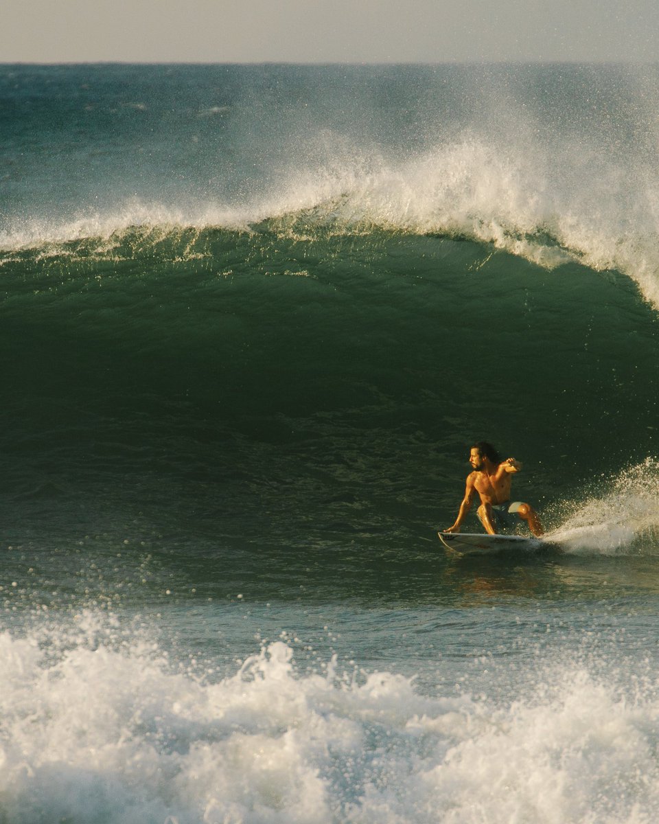 Surf City tweet media