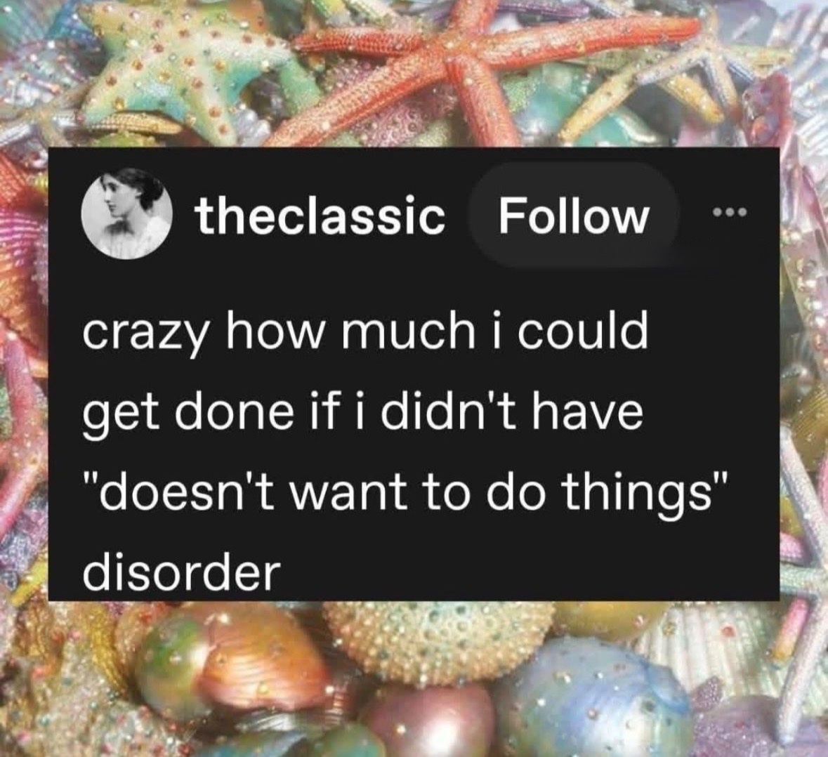 RespectfulMemes's tweet photo. https://t.co/xiPA7KpbSr