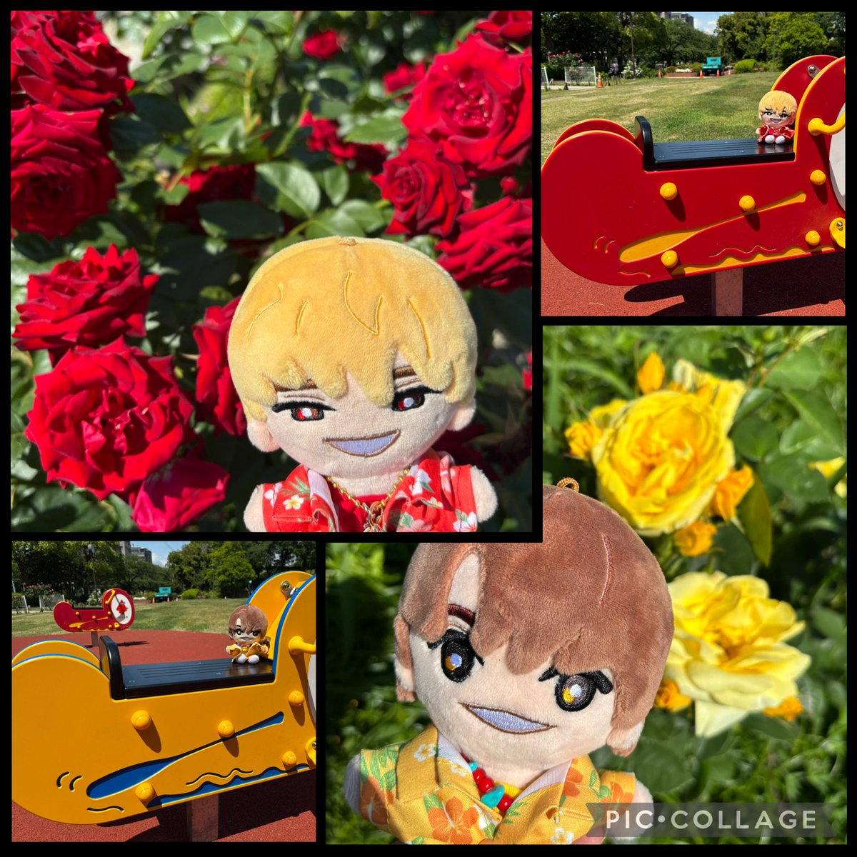 ぱんだ15🐼🍓 tweet media