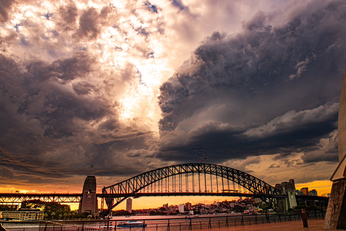 ChefShire's tweet photo. last few days: Sydney Australia;                              25/26 were amazing with convincing shies. https://t.co/9ZcYZfbqYm