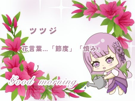 りら ストっく💐🧚♀️✨ tweet media