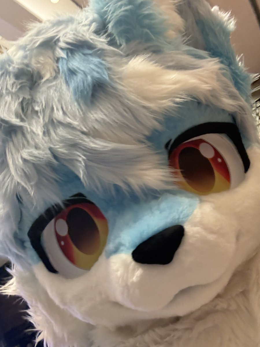 kawaraku➡️HiFurry tweet media