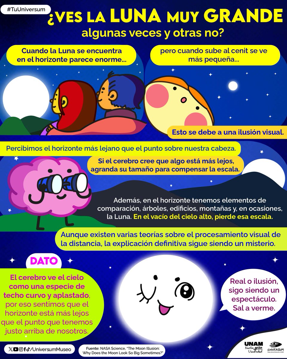 Universum Museo tweet media