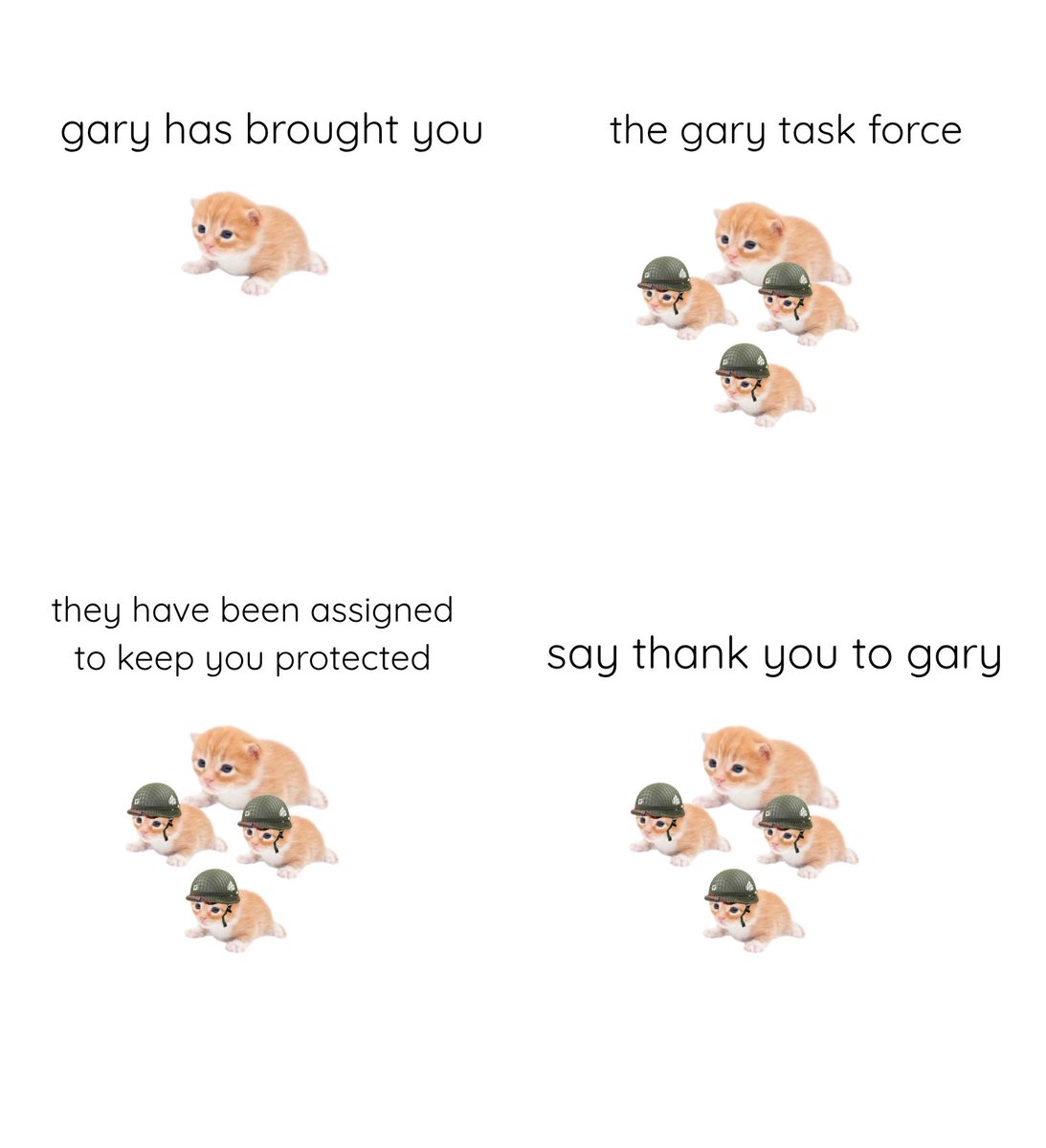 gary tweet media