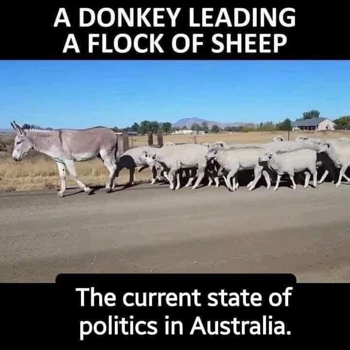 Bill Dobell OAM tweet media