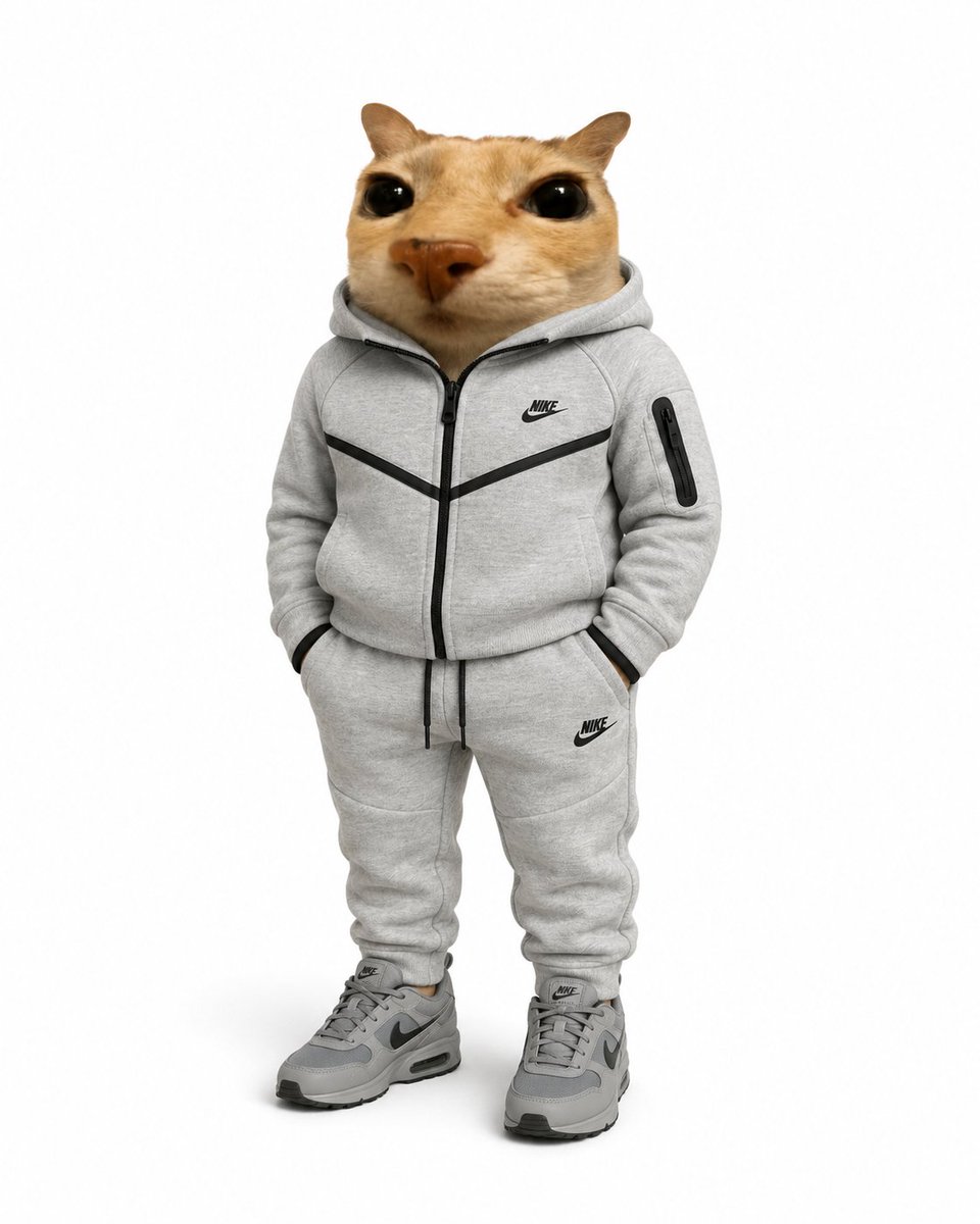 Business Cat tweet media