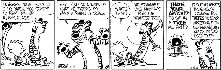 Calvin and Hobbes Fan Account tweet media