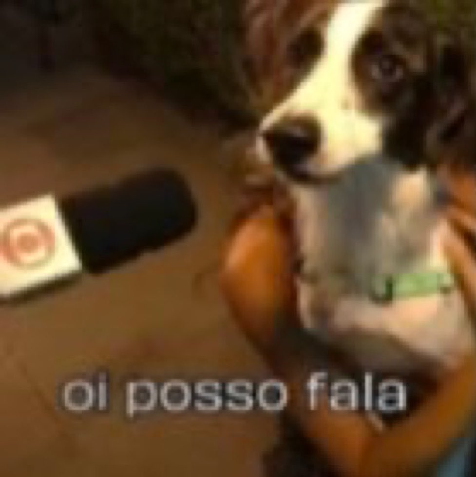 lou Ψ 📖: lendo tweet media