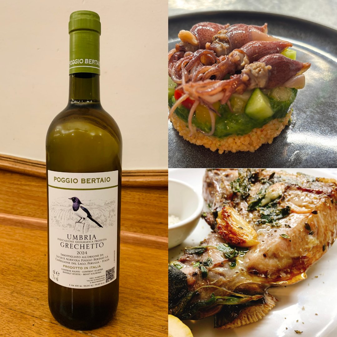 trattorialemon's tweet photo. #御茶ノ水 の #イタリアン トラットリアレモンです🍋

おすすめ #白ワイン は #魚介料理 と合います！今現在ご用意しているシェフおすすめメニューから・数量限定！鰆のかま香草オーブン焼き・ホタルイカと旬野菜のクスクスサラダ など他にも多数ございます。ぜひ合わせてお楽しみくださいませ！ https://t.co/bU6DgaKEcN