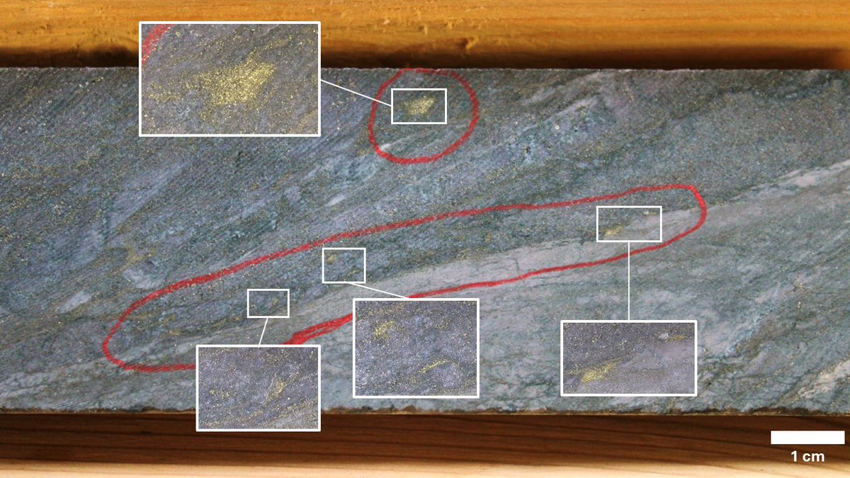 OnyxGoldCorp's tweet photo. Let’s Talk Visible Gold (VG).

Recent drilling at the Munro-Croesus Project intersected visible gold in hole MC25-213 at just 27 m downhole.

From the historic Croesus Mine (avg. 95.3 g/t Au) to the GM Vein discovery (0.9 m @ 121.8 g/t Au), high-grade gold continues to show up.

$ONYX.V #TimminsGoldCamp #GoldExploration