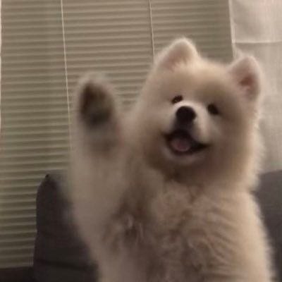 아사마치 유우 | Asamachi Yuu tweet media