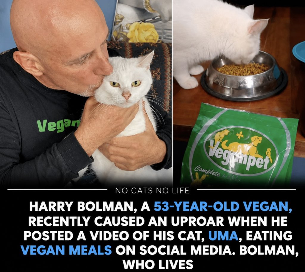 No Cats No Life tweet media