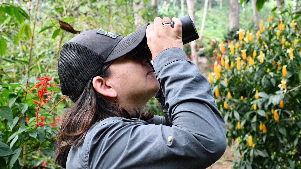 Smithsonian Migratory Bird Center tweet media