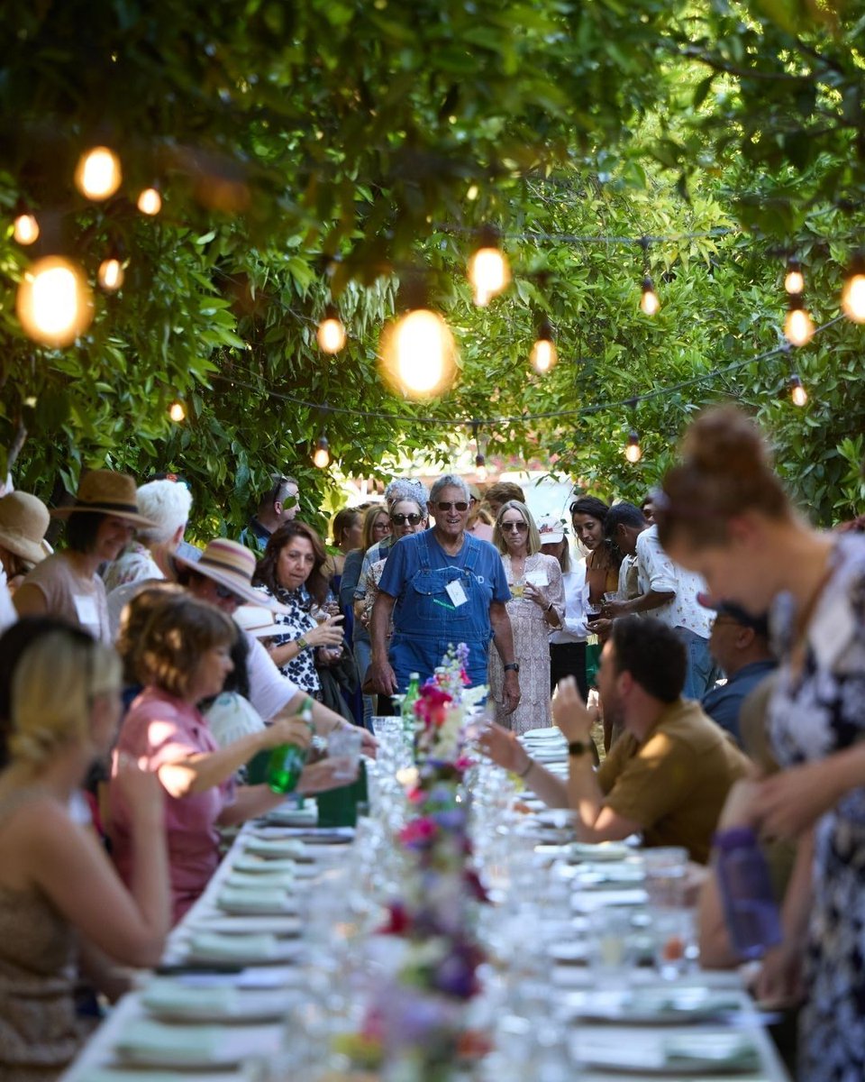 consciouskitchn's tweet photo. Under the trees at @FrogHollowFarm we celebrated food, community, and collective action. 🌿 Friends old &amp; new came together in support of a future where every student has access to fresh, local, organic meals.

Deep gratitude to everyone who made the evening so special. ✨ https://t.co/fvZgSNZ6fi