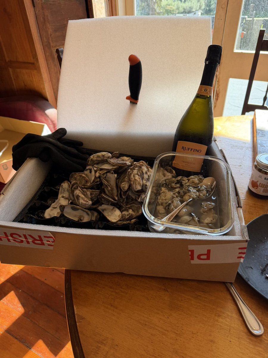 tauhenare's tweet photo. Just having breakfast. #MahurangiOysters https://t.co/BOIRtA5h9s