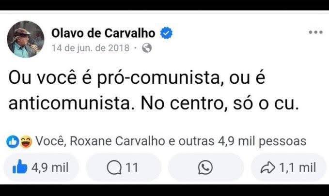 Fernanda Bastos tweet media