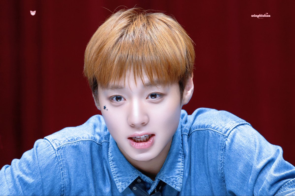 윙비츄 tweet media