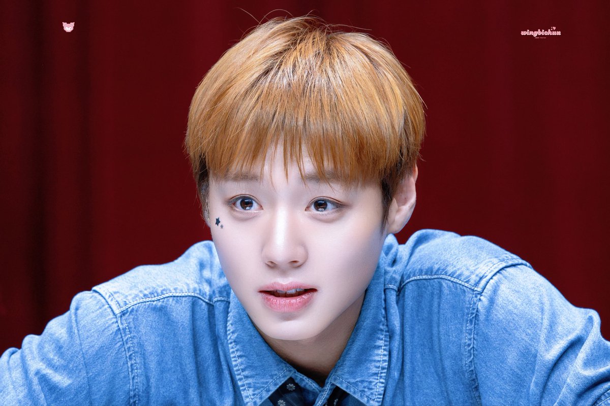 윙비츄 tweet media