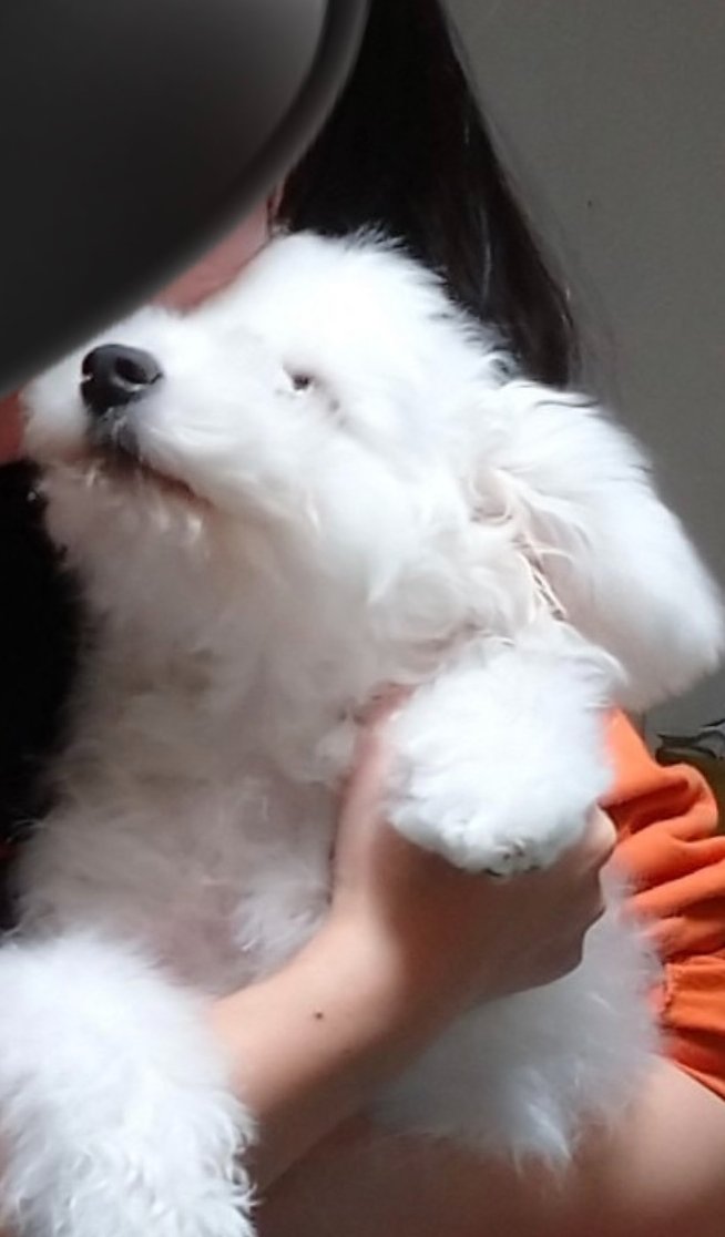 KOS21_N2000's tweet photo. おはようございます☀

今日は #愛犬の日 🐶
🦖は実家の犬と超仲良しです。
🦖が昔遊んでいたおもちゃで遊び、🦖が昔ゴロゴロしてた場所と全く同じところで遊び、なんとなく傍にいてくれます🥹元々犬に好かれやすいタイプではありますが、実家の犬はなんか性格が似てるんです💭

#企業公式相互フォロー https://t.co/4ERFTJkmor