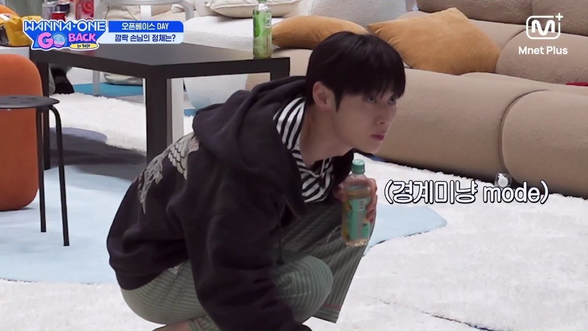 현바라기 tweet media