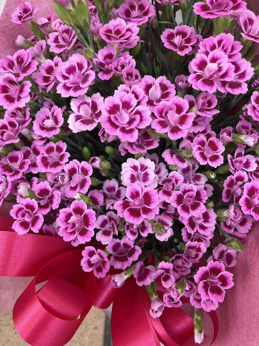 ‪‪❤︎‬ページ ピンク🩷はやっぱり大好き 癒されます 今日も前向いて 一歩ずつ