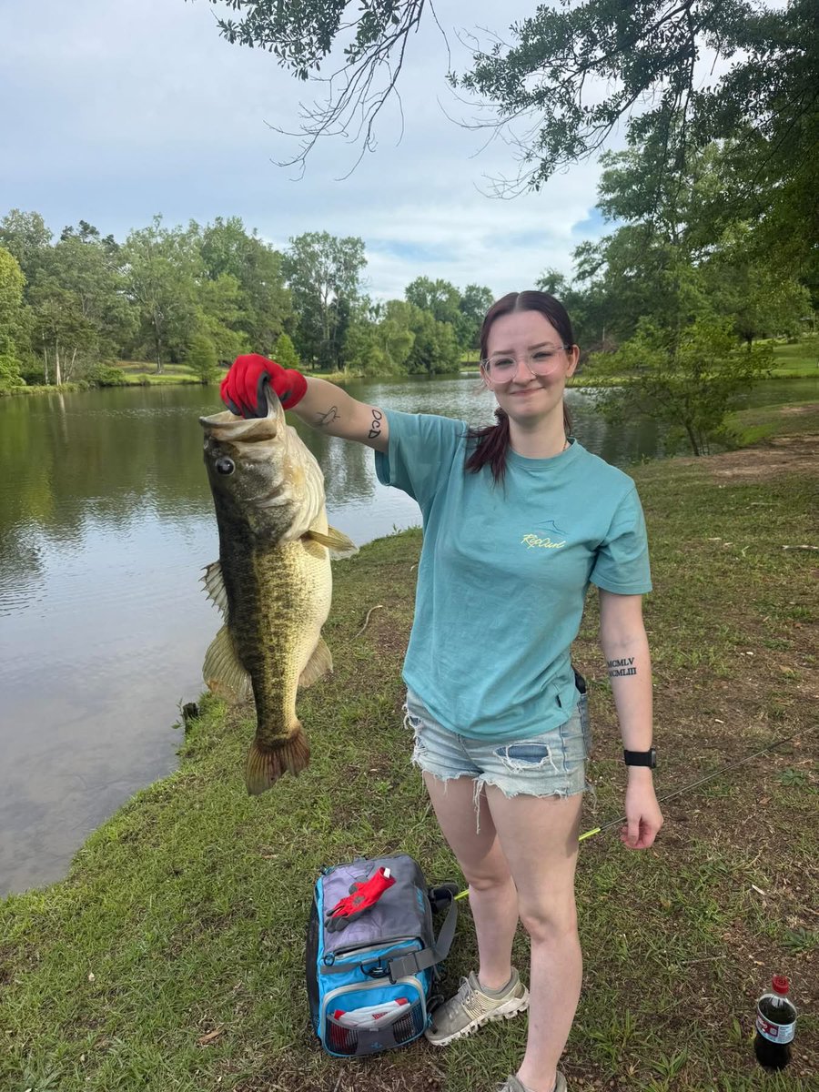 Bass Manager 🎣 tweet media