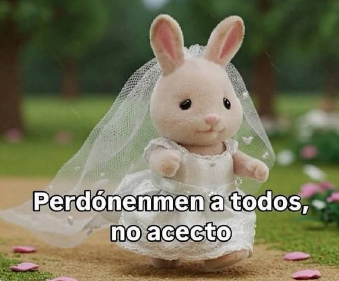 cornulda's tweet photo. cuando me dicen que para ver cambios necesito dejar las harinas, el azúcar y hacer cardio https://t.co/lMjCjj79uh