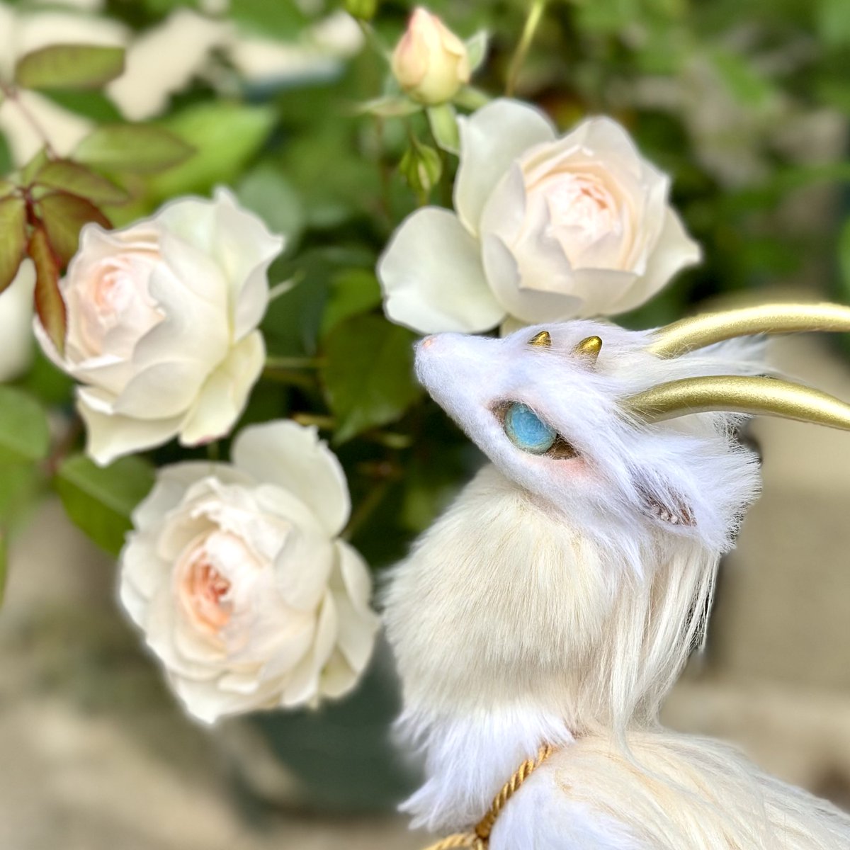 今朝のバラたちとうちの子🐉 #アートドール #龍 #ドラゴン