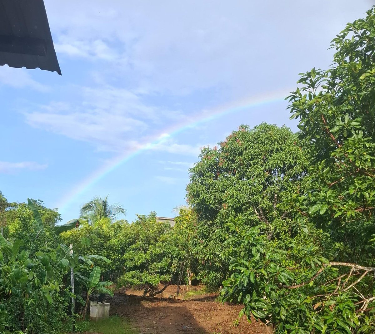 Im_cloudAW's tweet photo. Pelangi pagi 🌈🌈🌈 https://t.co/7bhwvAY3gi