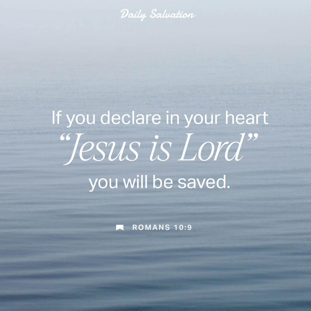 Daily Salvation tweet media