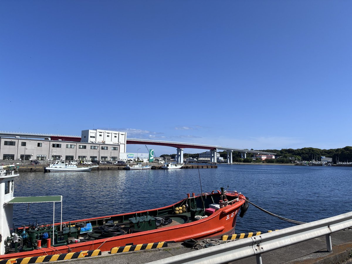 maesowan's tweet photo. おはよう。
真っ青な空、三崎の空。

ラジオ出張収録のような
慰安旅行のような。

三崎の景色と時間は流れ方がまるで違う。 https://t.co/QmPxm5YwYh