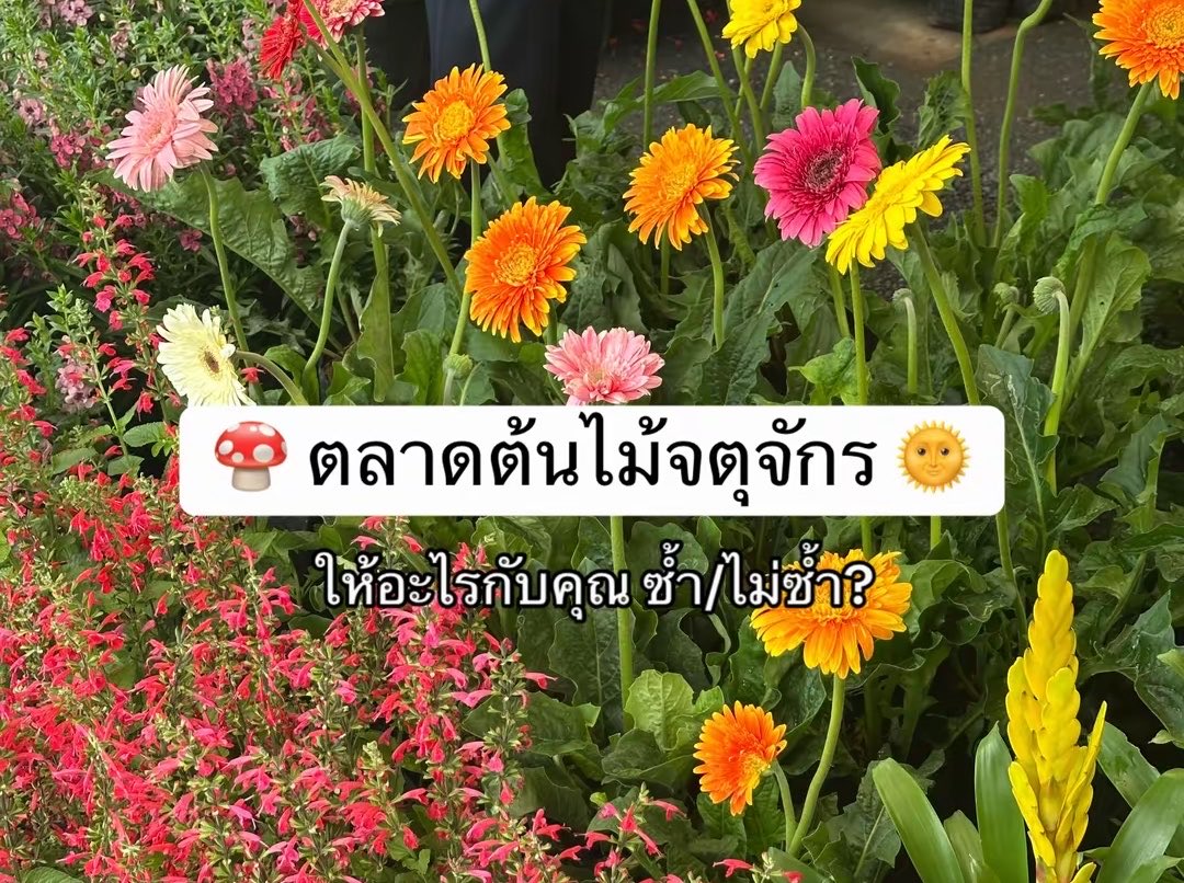 เชื่อน้อง ลองให้แล้ว tweet media