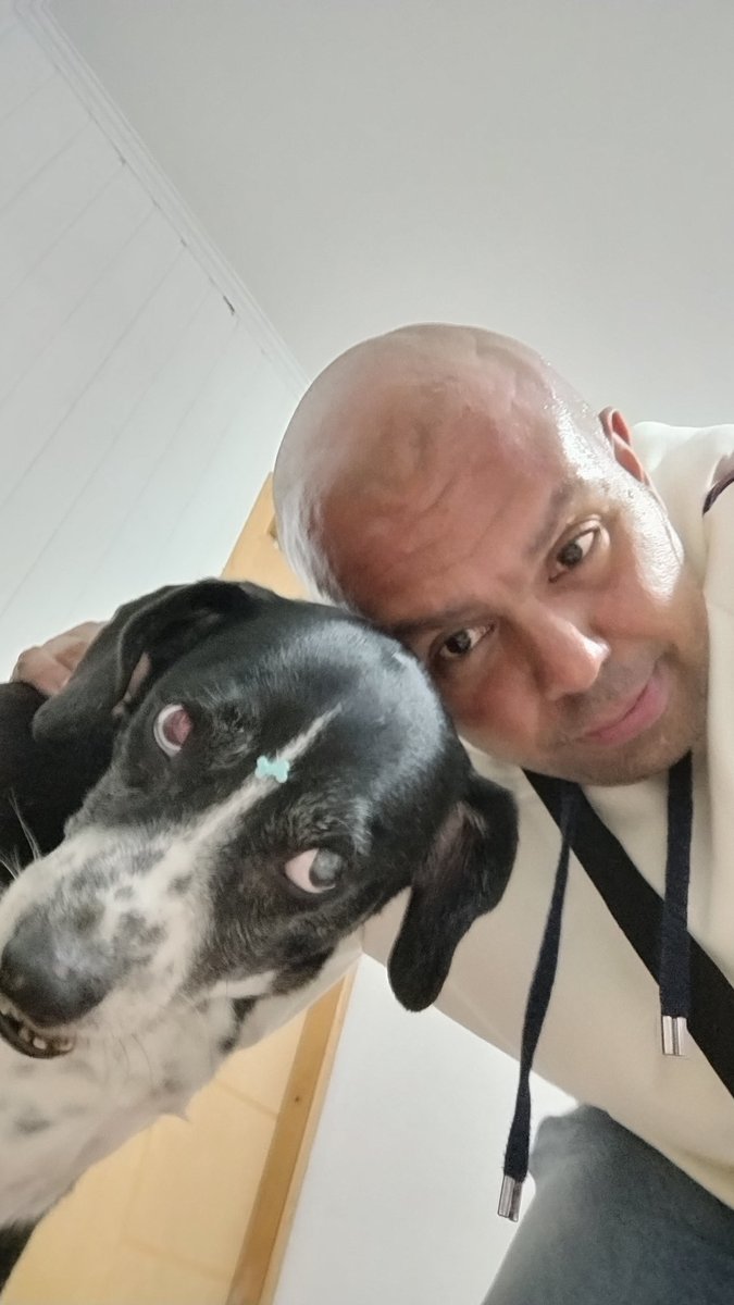 WiltonAlmSPO's tweet photo. Graças a Deus e Meishu-Sama, ele voltou. Tudo não passou de um grande susto, um acontecimento que prova por a mais b que quem ama, cuida. 
O Banzé tá bem, eu tô emocionado e não é pouca coisa. 
A felicidade reside aqui. #NãoCompreAdote #Catioro #Dog https://t.co/JWUCc8XKy7
