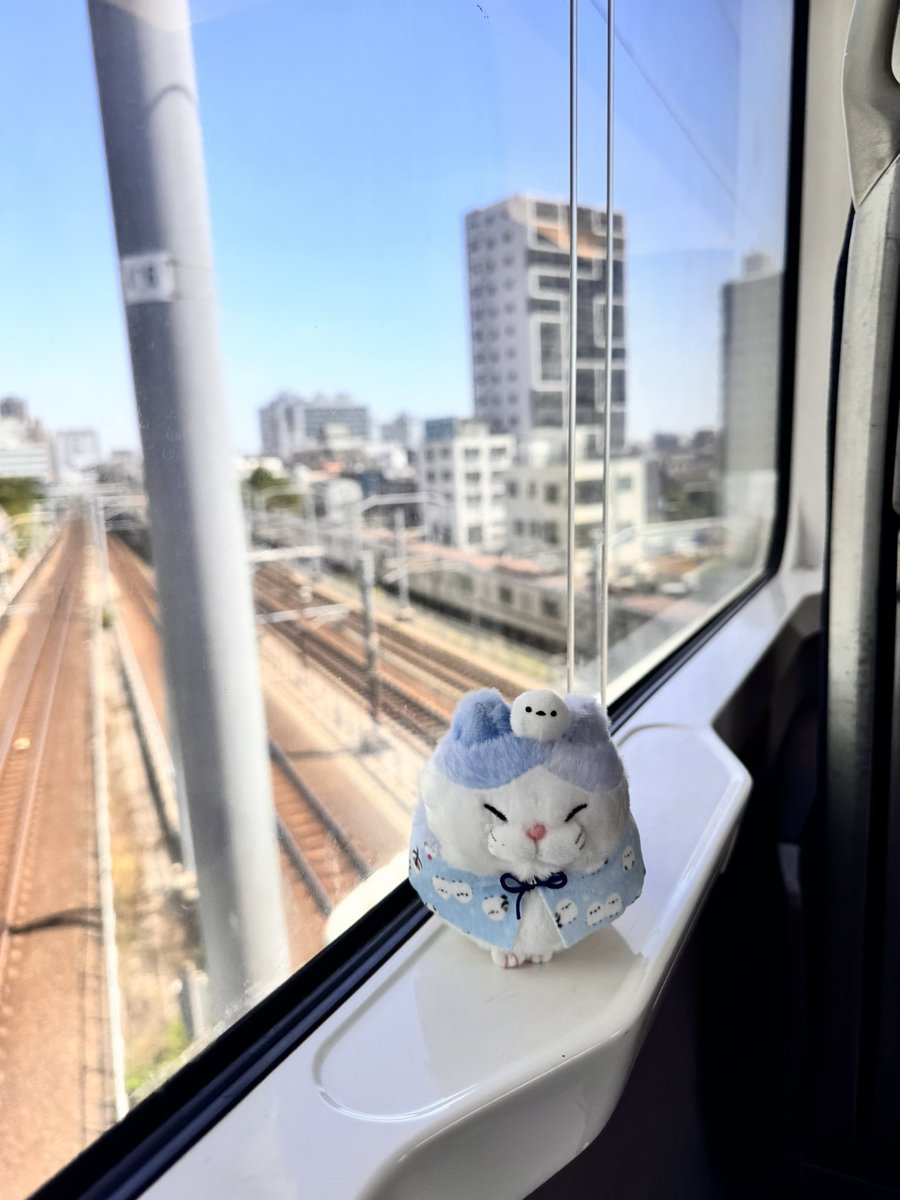 꼬륵 tweet media