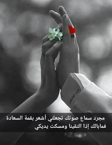 زهرة البابونج 🌼 tweet media