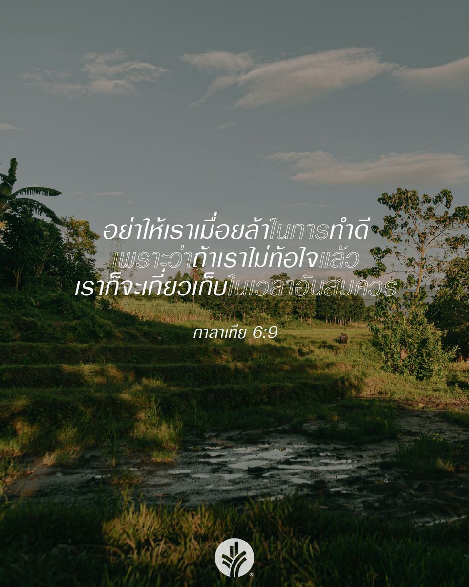 มานาประจำวัน tweet media