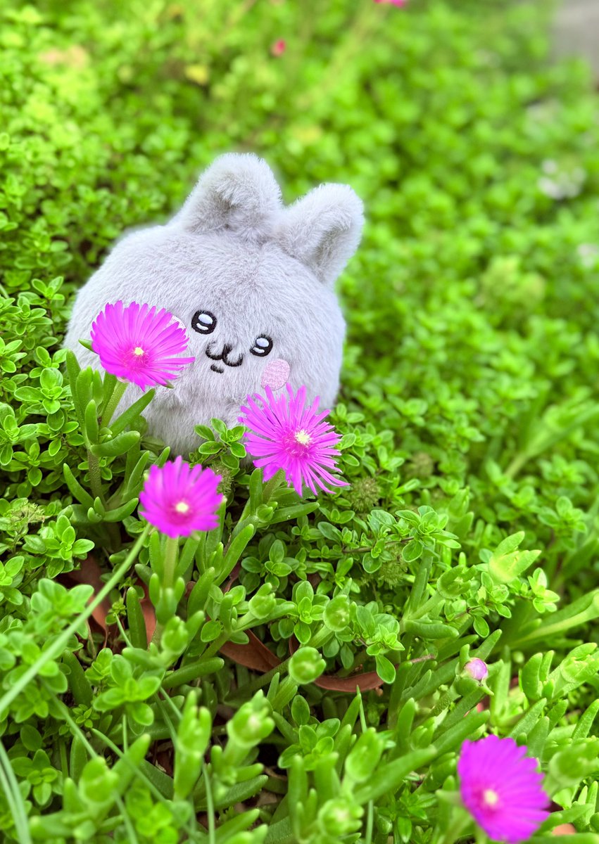 SHO(セクシーいけだ) tweet media
