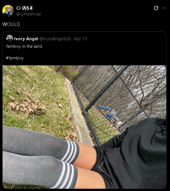 LethalBarracuda tweet media