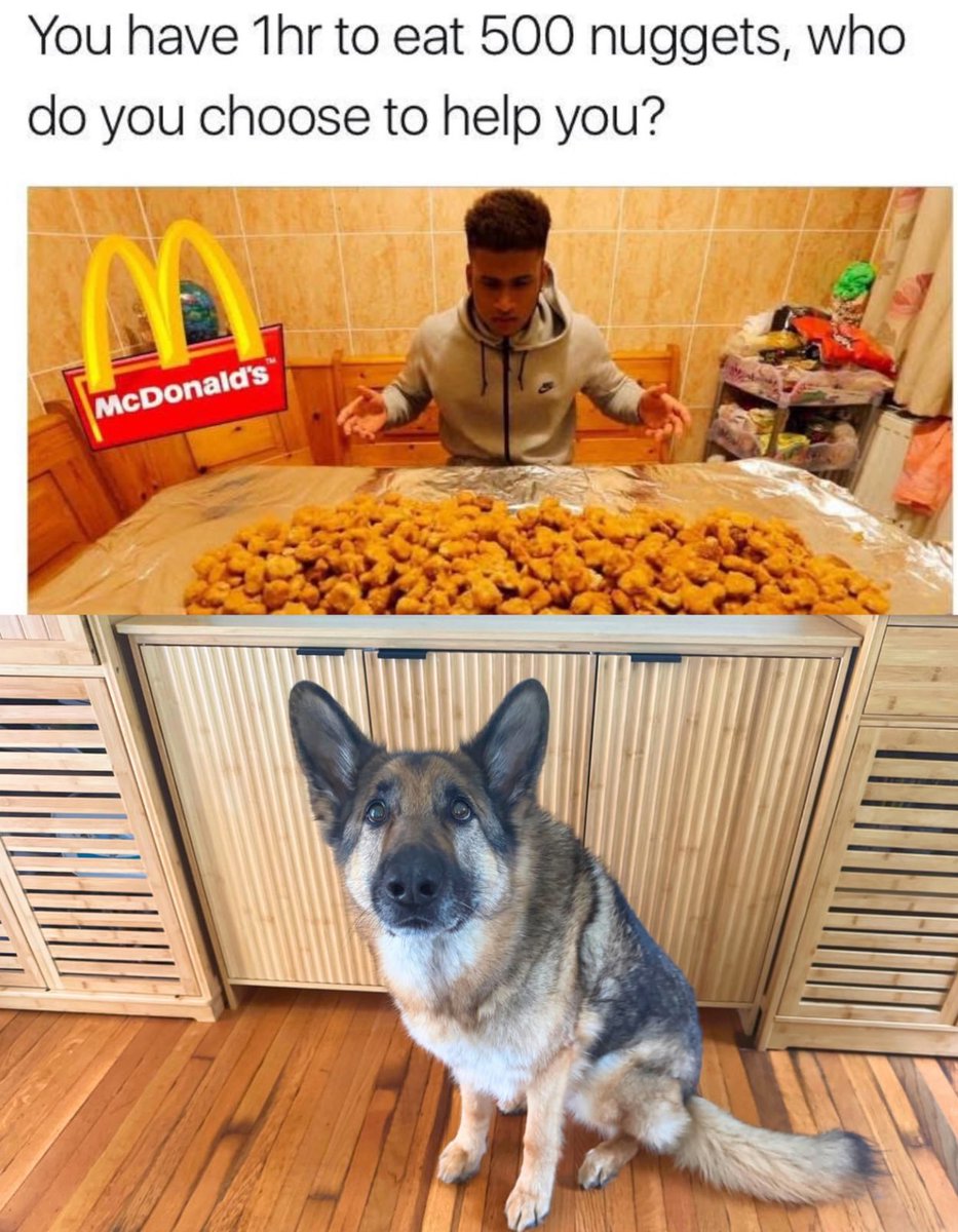 Puppies 🐶 tweet media