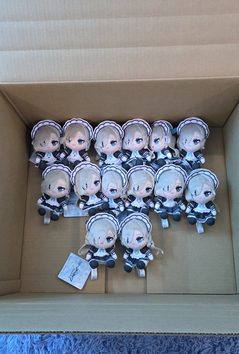 Another box of puppies has been dropped off at my door!